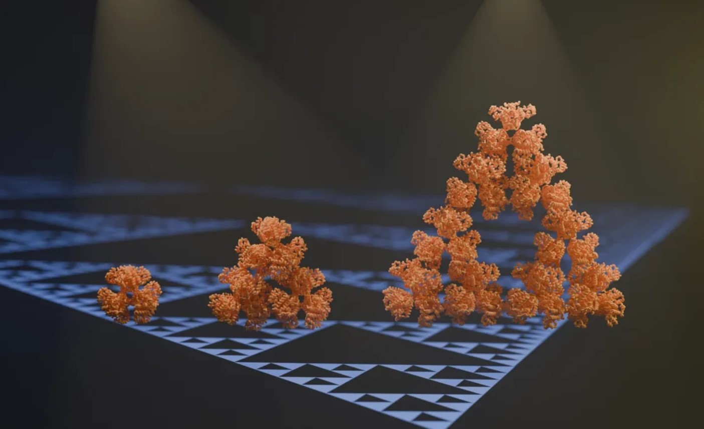 Researchers have recently identified the initial fractal molecule found ...